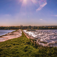 Buy canvas prints of Riverside Country Park by Dawn O'Connor