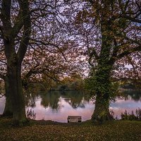 Buy canvas prints of Mote Park Maidstone by Dawn O'Connor