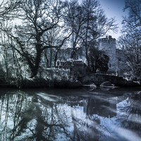 Buy canvas prints of Allington Castle by Dawn O'Connor