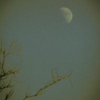 Buy canvas prints of Afternoon Moon by Dawn O'Connor