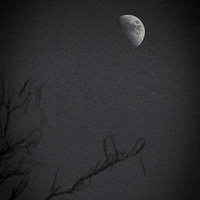 Buy canvas prints of Afternoon Moon in Black and White by Dawn O'Connor