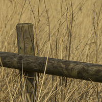 Buy canvas prints of Fence Post by Dawn O'Connor