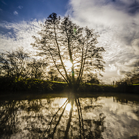 Buy canvas prints of River Medway Winter Sun by Dawn O'Connor
