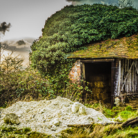 Buy canvas prints of Old Barn by Dawn O'Connor