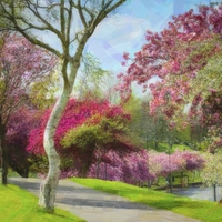 Buy canvas prints of Victoria Park Springtime by Dawn O'Connor