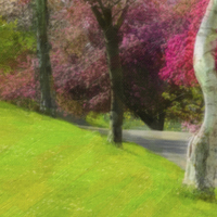 Buy canvas prints of Victoria Park Spring Time 4 of 6 by Dawn O'Connor