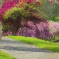Buy canvas prints of Victoria Park Spring Time 5 of 6 by Dawn O'Connor