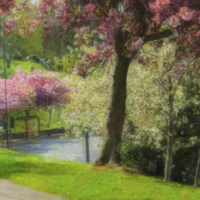 Buy canvas prints of Victoria Park Spring Time 6 of 6 by Dawn O'Connor