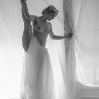 Buy canvas prints of  Topless Ballerina by Dawn O'Connor