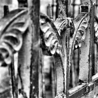 Buy canvas prints of The Iron Gate in Black and White by Lauren Meyerink