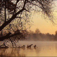 Buy canvas prints of The Thames at dawn by Graham Piper