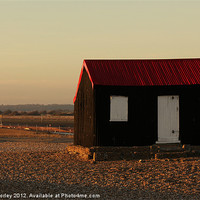 Buy canvas prints of Lonely Beach Hut in Rye by Hannah Morley
