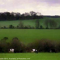 Buy canvas prints of Irish Countryside by Hannah Morley