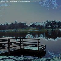 Buy canvas prints of Tilgate Park Jetty by Hannah Morley