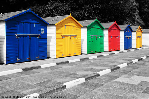Colourful Beach Huts Picture Board by Anthony Michael 