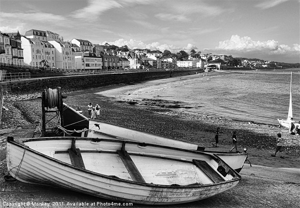 Dawlish Beach Picture Board by Anthony Michael 