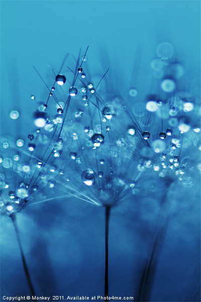 Soft Blue Water Droplets Picture Board by Anthony Michael 