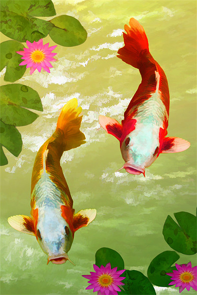 Koi Carp Oriental Fish  Picture Board by Anthony Michael 