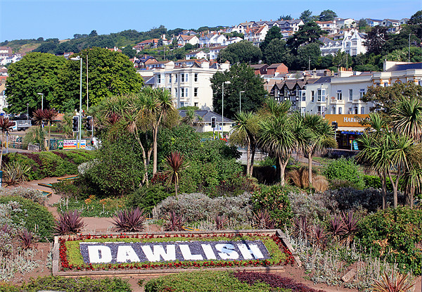 Dawlish Town Devon Picture Board by Anthony Michael 
