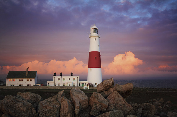 Portland Bill Lighthouse Picture Board by Anthony Michael 