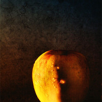 Buy canvas prints of Apple by Chris Manfield