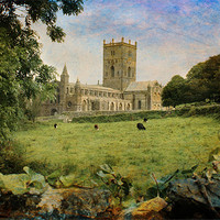 Buy canvas prints of St Davids Cathedral by Chris Manfield