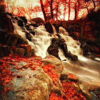 Buy canvas prints of Autumn Falls by Chris Manfield