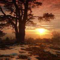Buy canvas prints of Sunset on Leith Hill by Chris Manfield