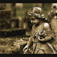 Buy canvas prints of Guardian Angel by Chris Manfield