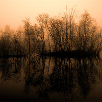 Buy canvas prints of Still Waters by Chris Manfield