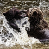 Buy canvas prints of Brown Bears by Sam Smith