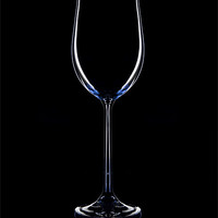 Buy canvas prints of Wine glass by Sam Smith