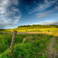Buy canvas prints of Country Path by Sam Smith