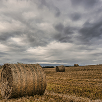 Buy canvas prints of Hay bales by Sam Smith