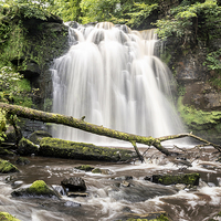 Buy canvas prints of Scottish waterfall by Sam Smith