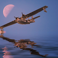 Buy canvas prints of  Flying by moonlight by Sam Smith