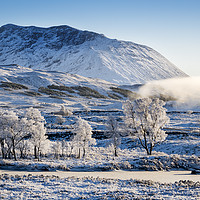 Buy canvas prints of Frozen highlands by Sam Smith