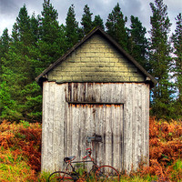 Buy canvas prints of Bike shed by Sam Smith