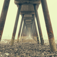 Buy canvas prints of Under The Pier by Will Harnett