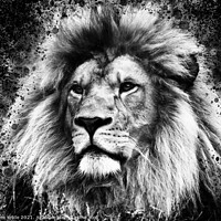 Buy canvas prints of Lion King by Joanne Wilde