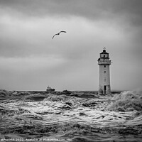 Buy canvas prints of Perch Rock Lighthouse #3 of 5  by colin ashworth