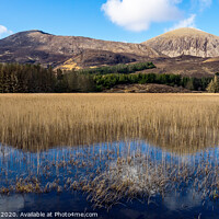 Buy canvas prints of The Hairy Loch by colin ashworth