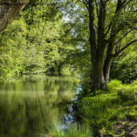 Buy canvas prints of Kennet and Avon at Sulhamstead  by Jim Hellier