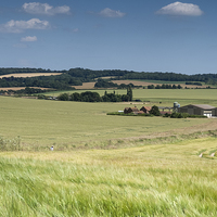 Buy canvas prints of Wheat fields Chiltern hills by Jim Hellier