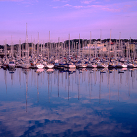 Buy canvas prints of  Sailing yachts Howth Harbour by Jim Hellier