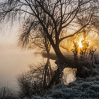Buy canvas prints of Sunrise through the Willow by Jim Hellier