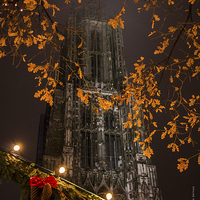 Buy canvas prints of Münster at Christmas 2013 by 