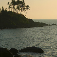 Buy canvas prints of Palm Trees on the Point Palolem, Goa, India by Serena Bowles