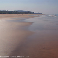 Buy canvas prints of Wide Sandy Beach Mandrem, Goa, India by Serena Bowles