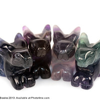 Buy canvas prints of Four Rainbow Fluorite Rabbits by Serena Bowles